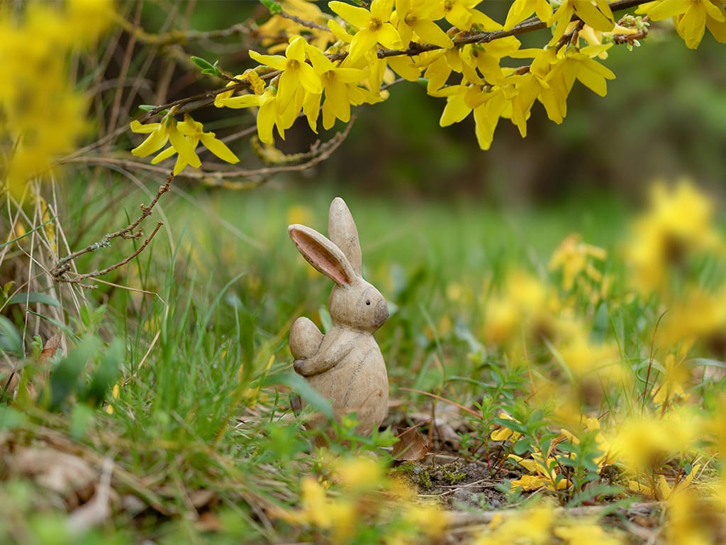 Påskharen döljer ett påskägg bakom ryggen.